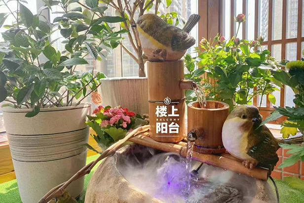 花園陽臺改造案例